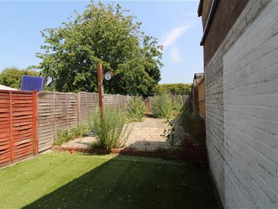 Picture 14